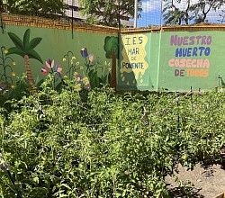 Huerto 1