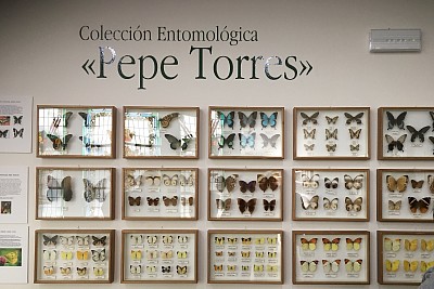 Foto exposición