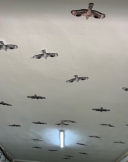 Abejeros techo