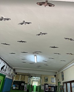 Abejeros techo