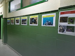 Fotos plásticos